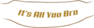 itsallyoubro